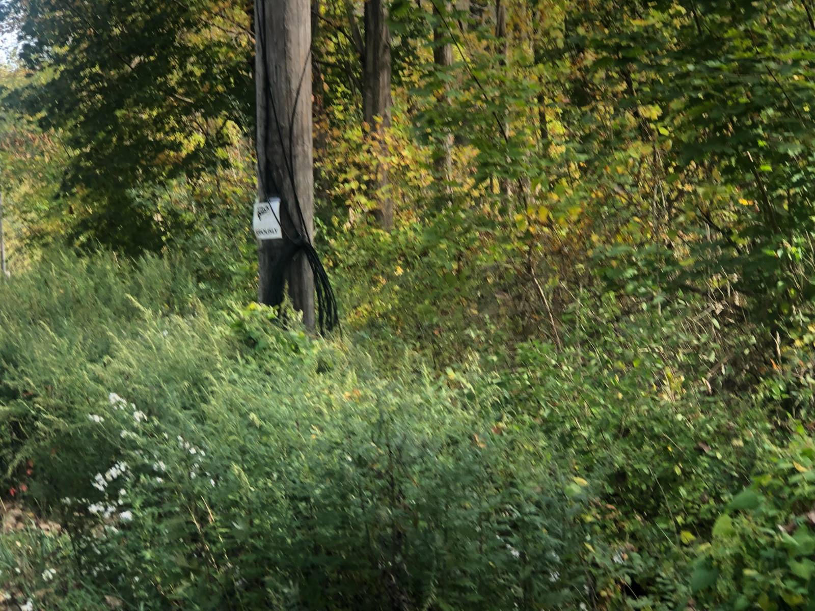 #6 photo, 49 Route 311, Kent , NY 10512