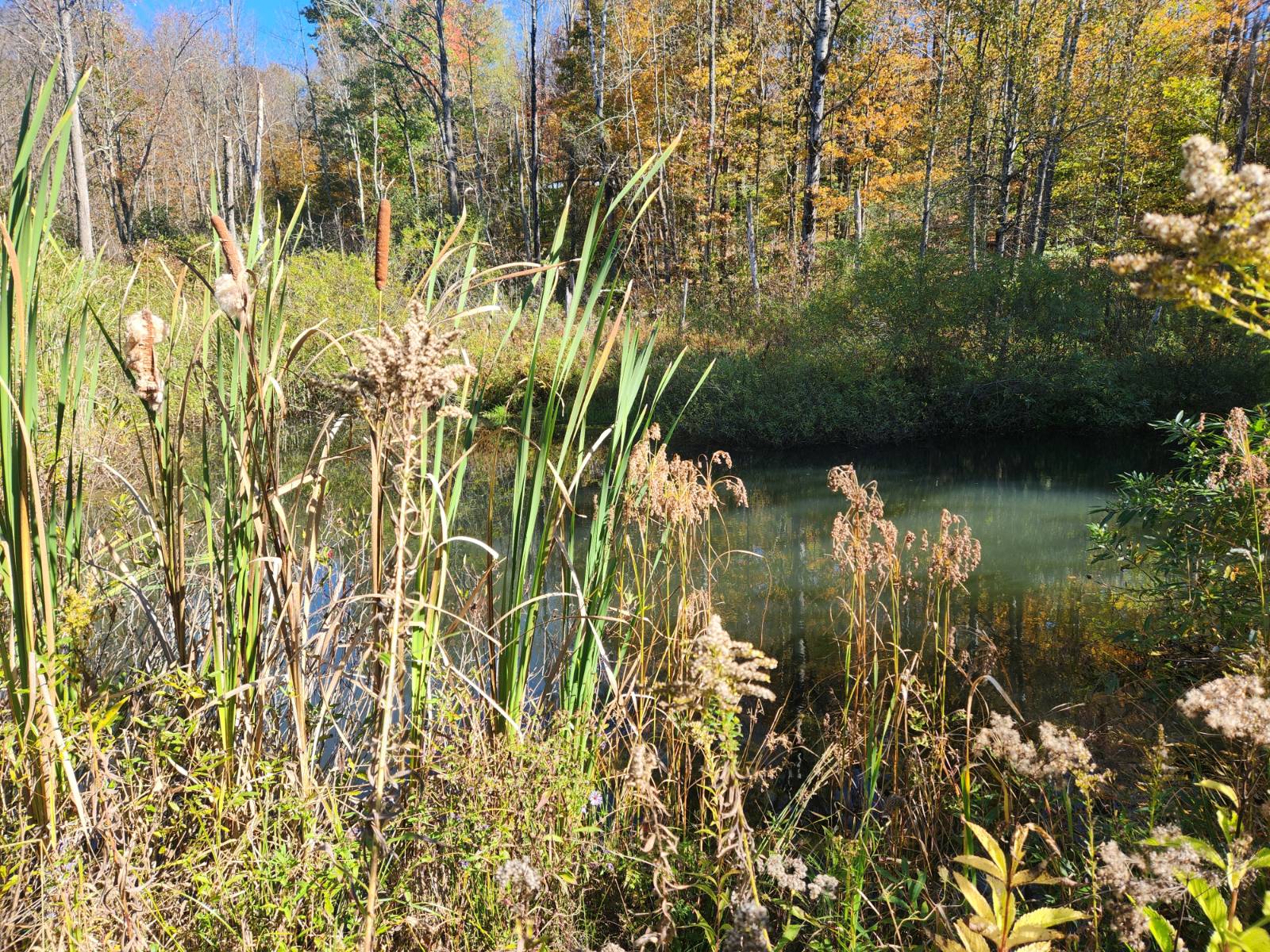 #3 photo, 2338 County Road 20, West Edmeston , NY 13485