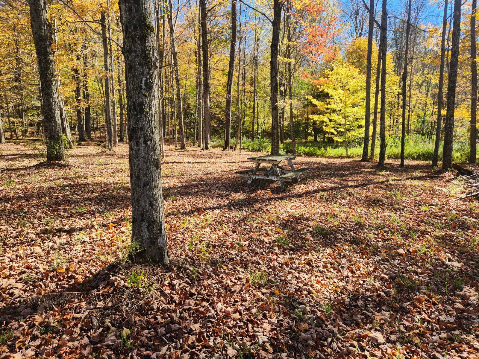 #5 photo, 2338 County Road 20, West Edmeston , NY 13485