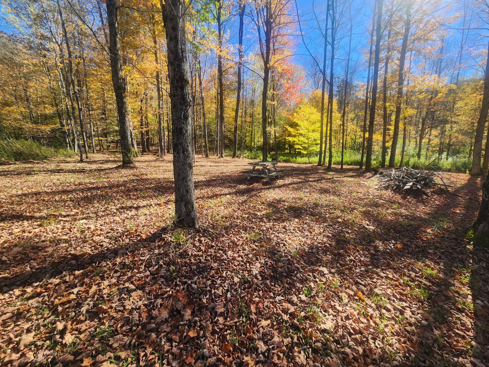 #6 photo, 2338 County Road 20, West Edmeston , NY 13485