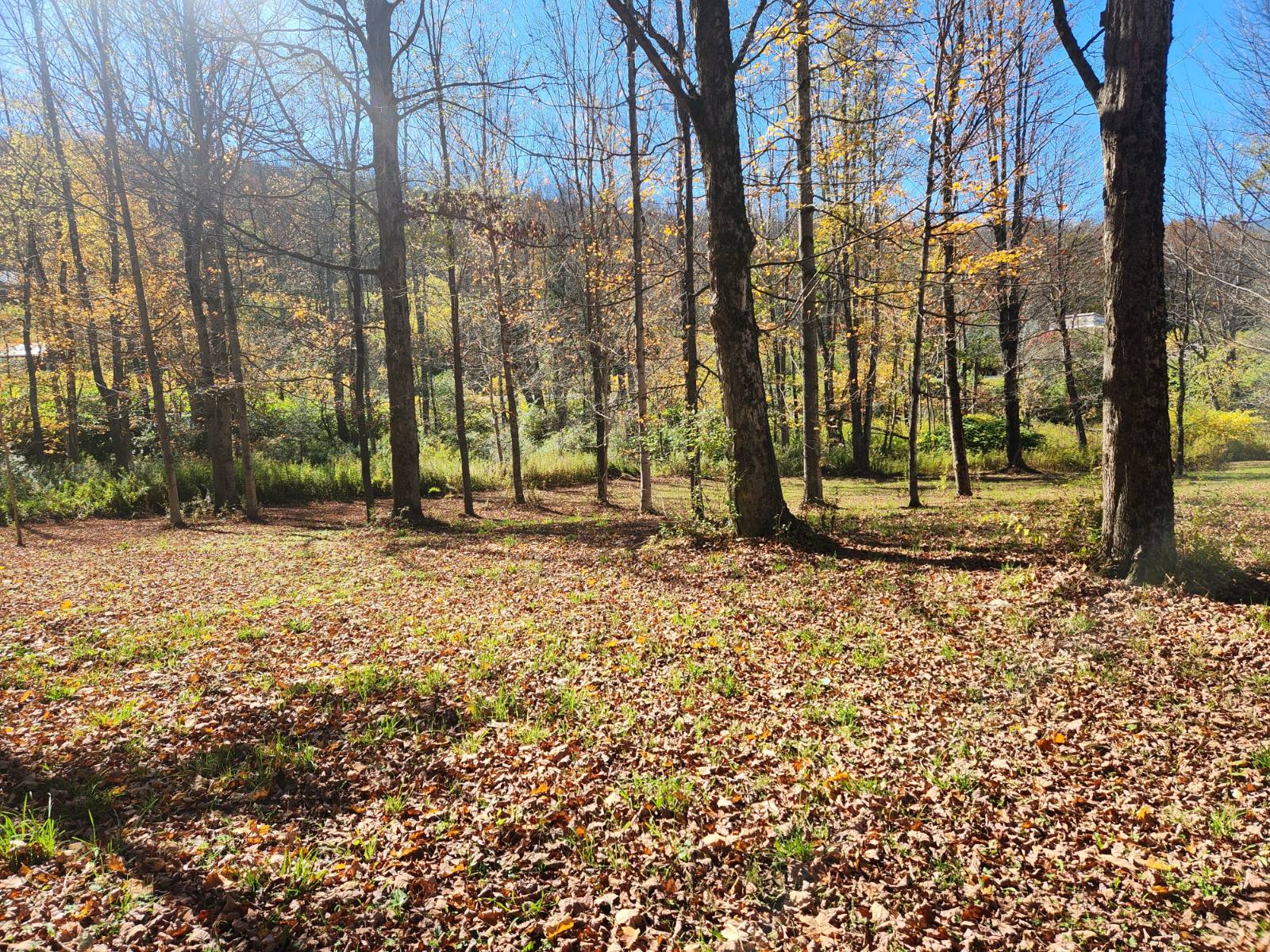 #7 photo, 2338 County Road 20, West Edmeston , NY 13485