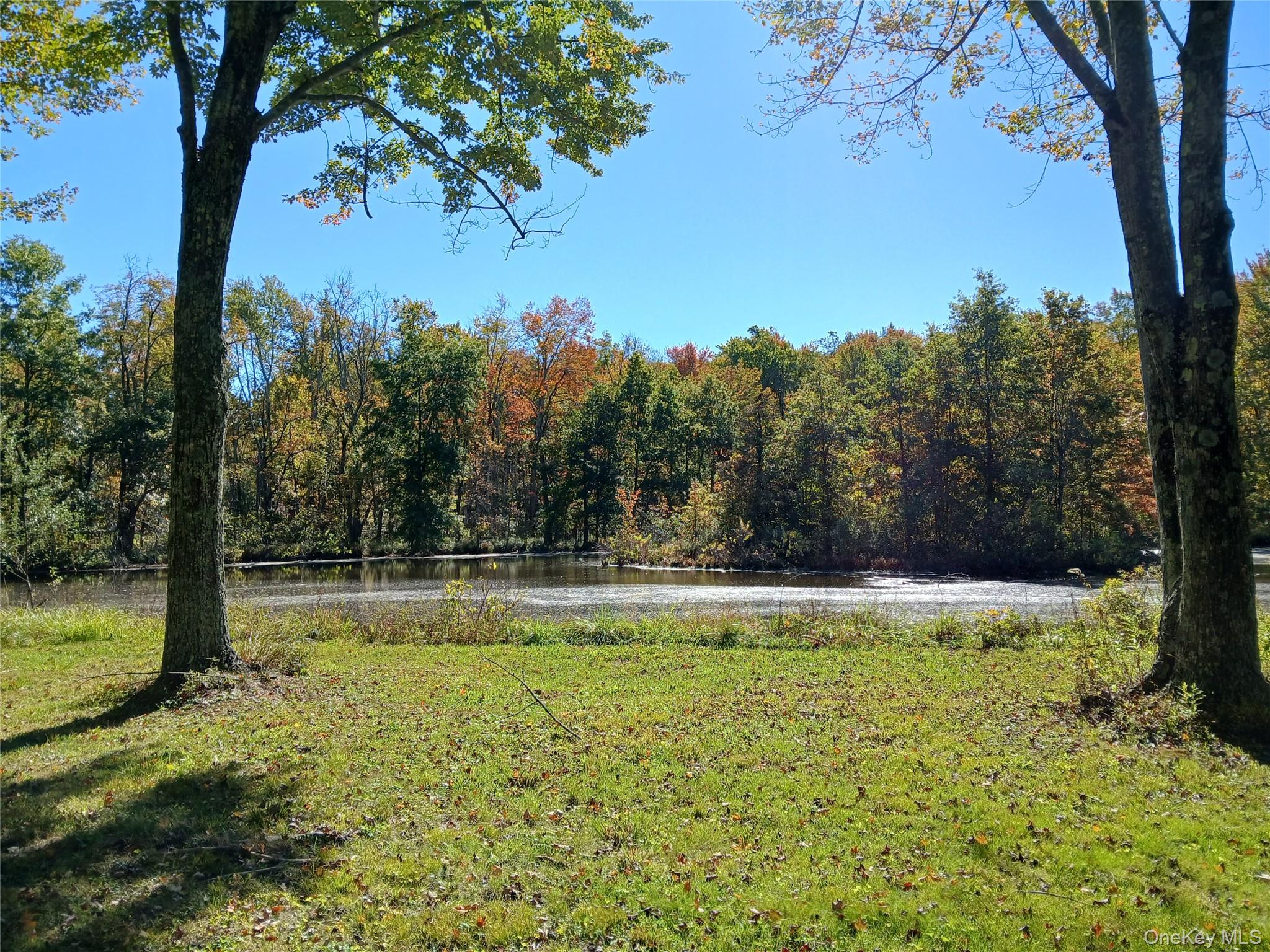 #4 photo, 1279 State Route 94, 纽约州 New Windsor , NY 12553