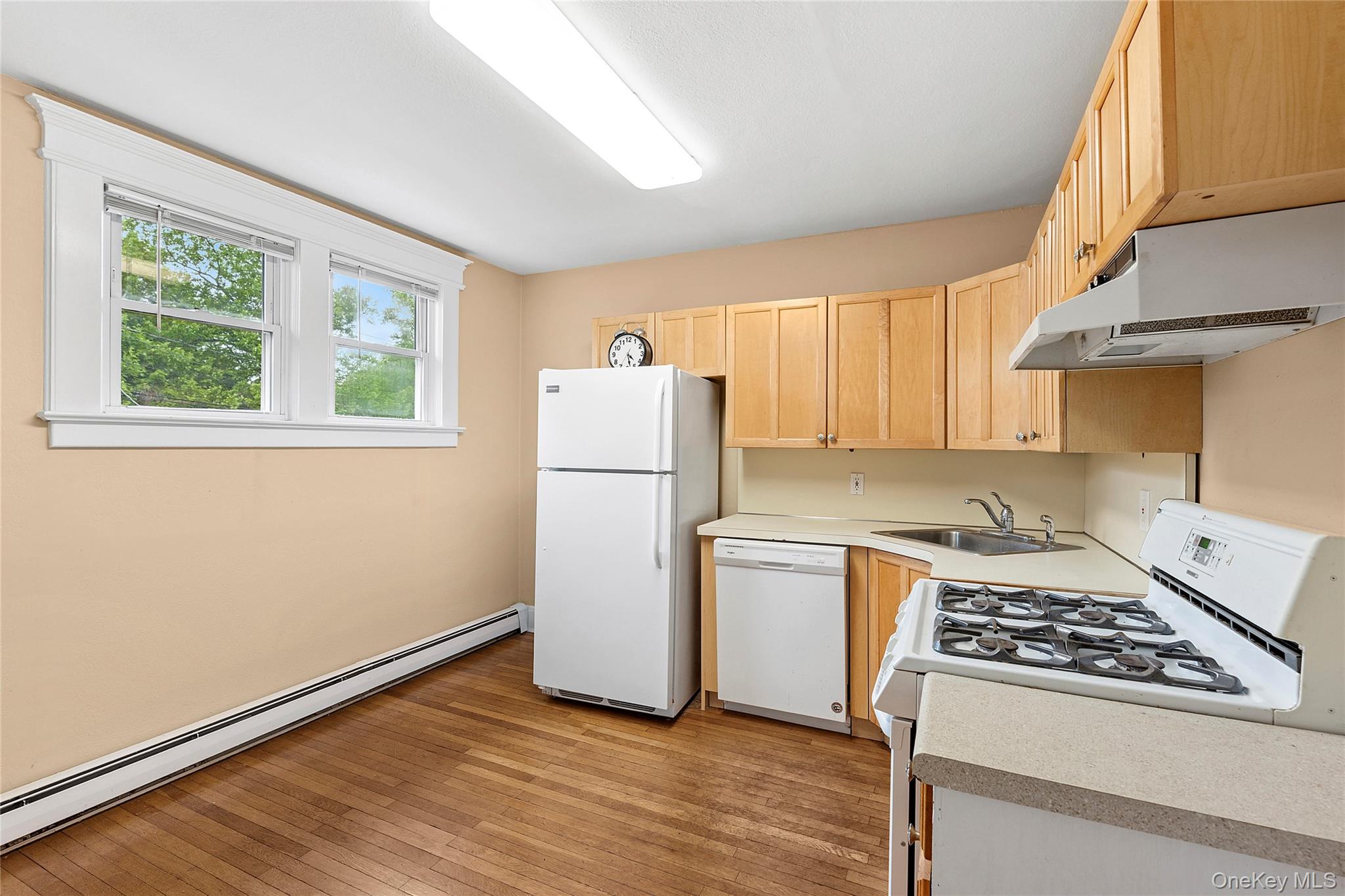 #17 photo, 1018 Roanoke Avenue, サフォーク郡 Riverhead , NY 11901