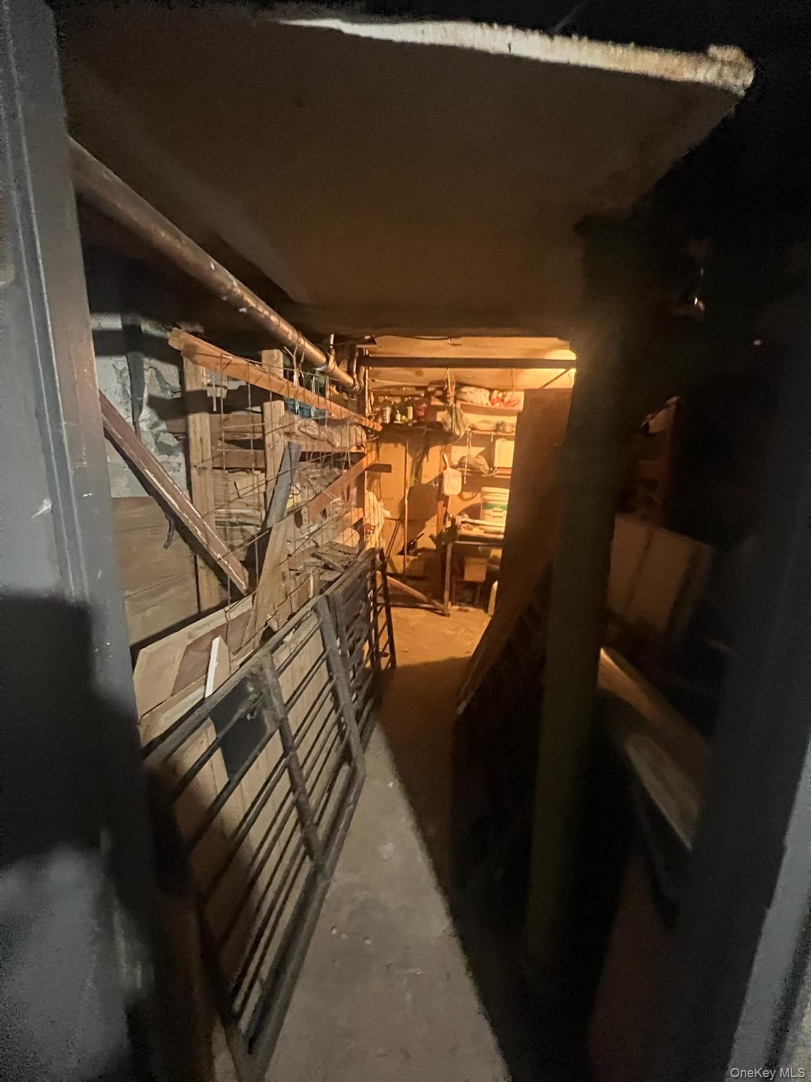 #13 photo, 433 Wyona Street, Brooklyn , NY 11207