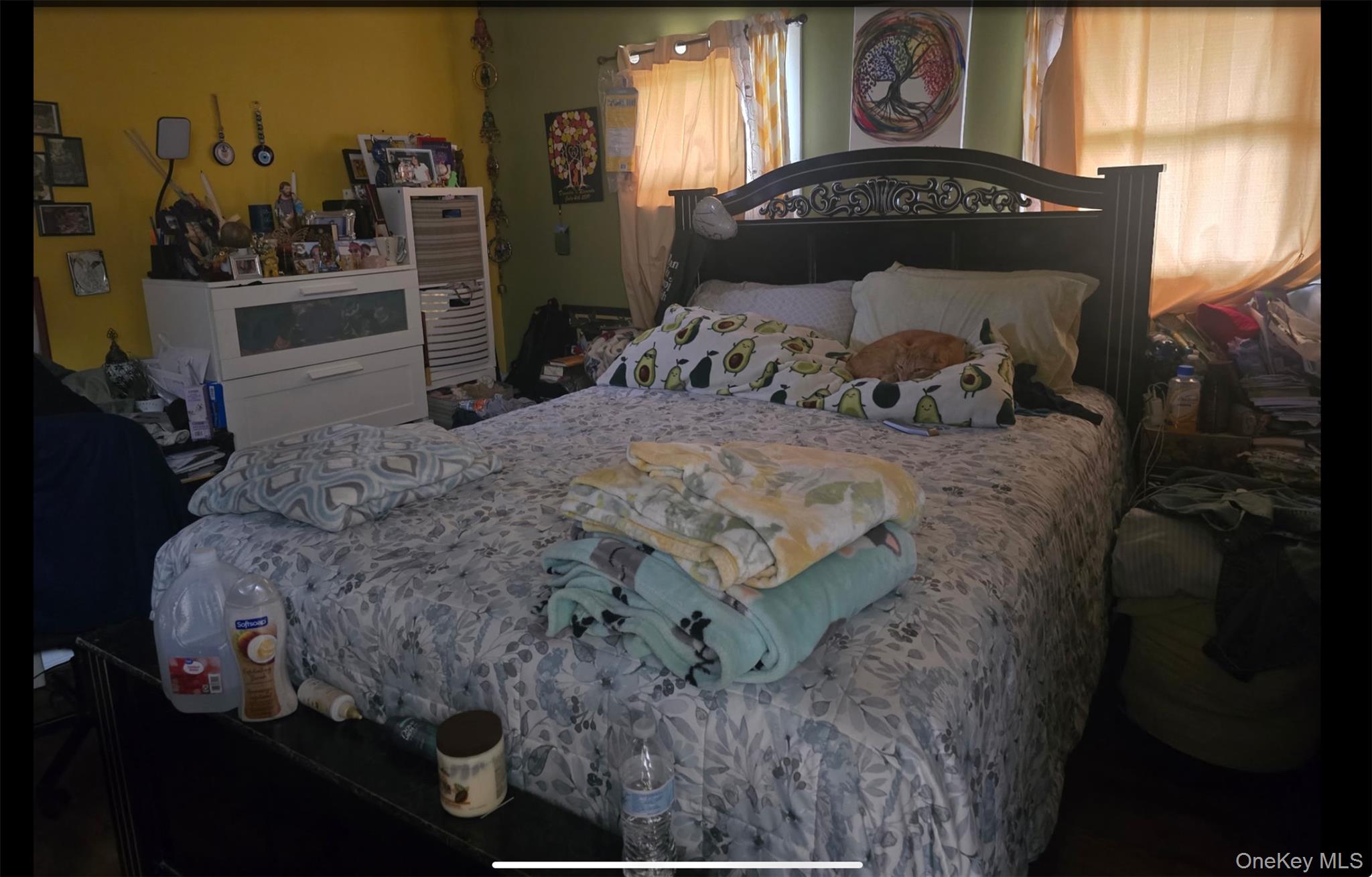 #9 photo, 14 E Chestnut Street, サフォーク郡 Central Islip , NY 11722