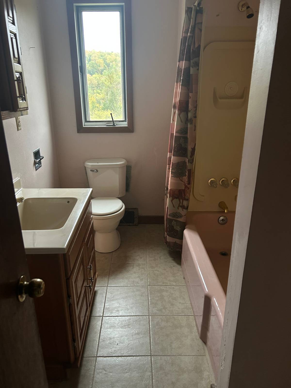 #13 photo, 330 Indian Brook Rd, Greene , NY 13778