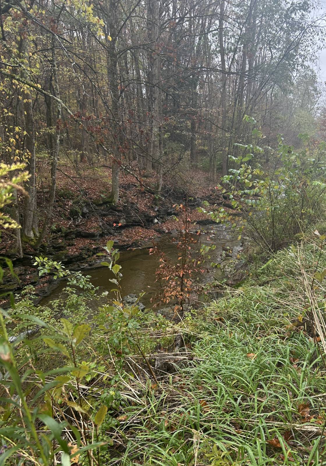 #18 photo, 330 Indian Brook Rd, Greene , NY 13778