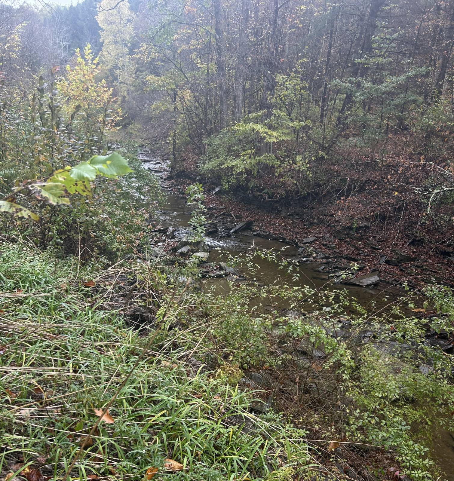 #19 photo, 330 Indian Brook Rd, Greene , NY 13778