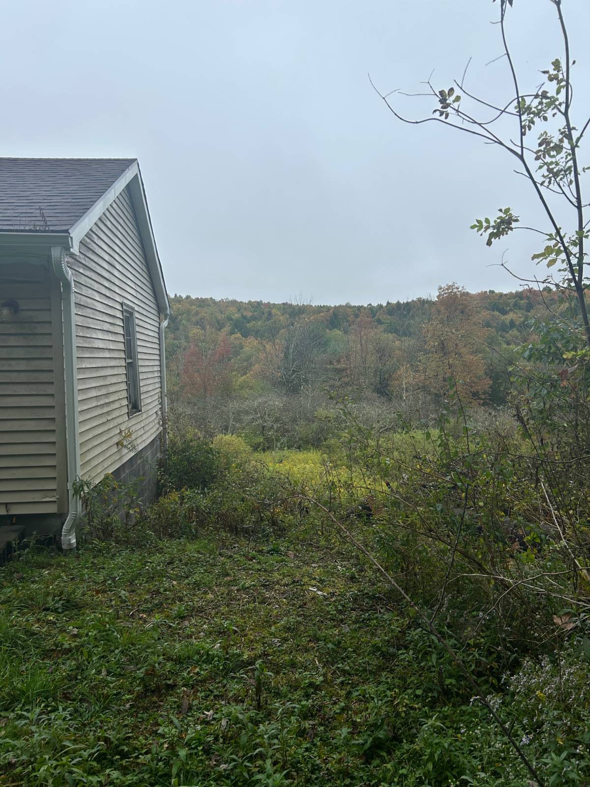 #2 photo, 330 Indian Brook Rd, Greene , NY 13778