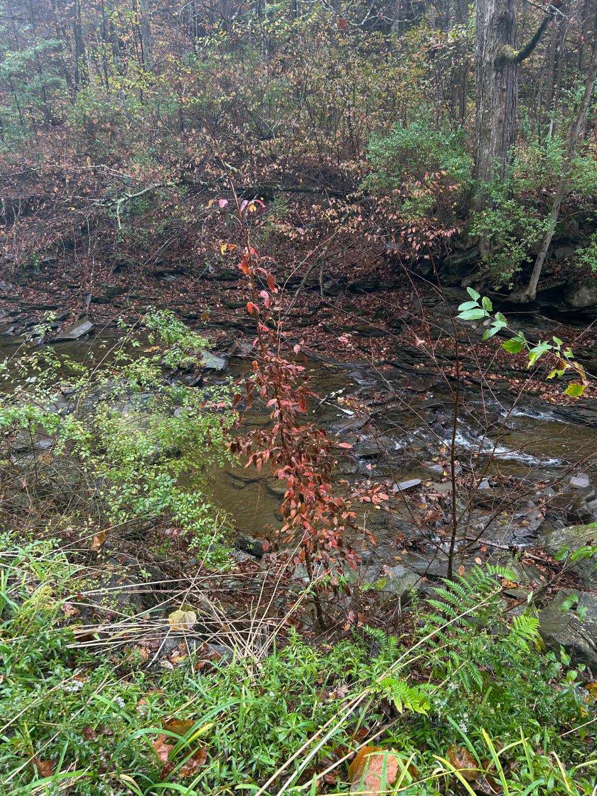 #20 photo, 330 Indian Brook Rd, Greene , NY 13778