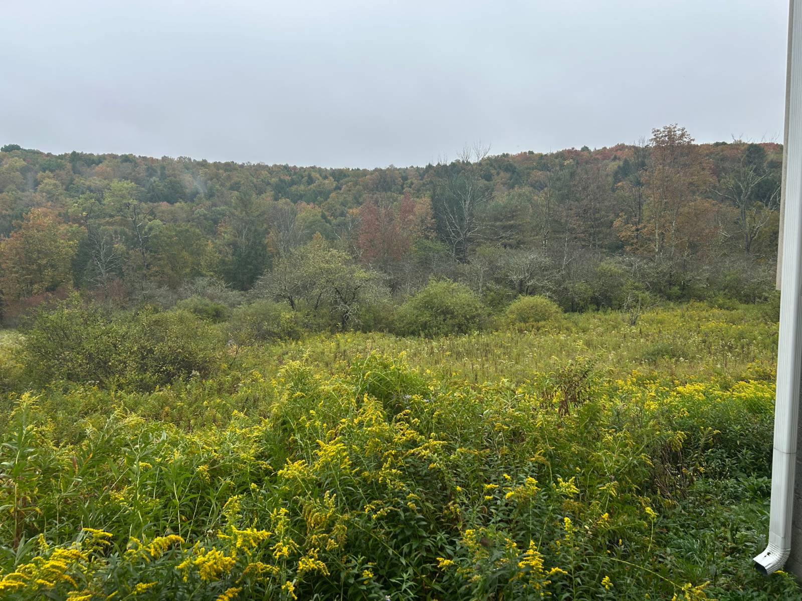 #5 photo, 330 Indian Brook Rd, Greene , NY 13778