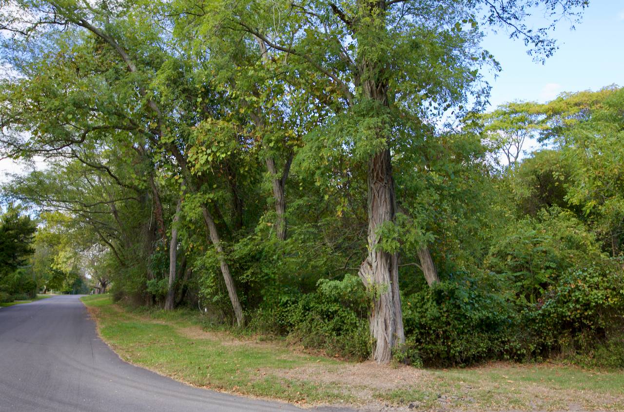 #1 photo, 1 Strawberry Lane, サフォーク郡 Shelter Island , NY 11964