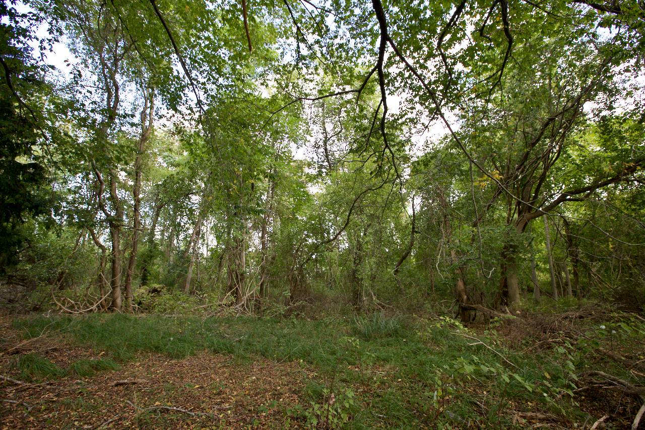 #2 photo, 1 Strawberry Lane, サフォーク郡 Shelter Island , NY 11964