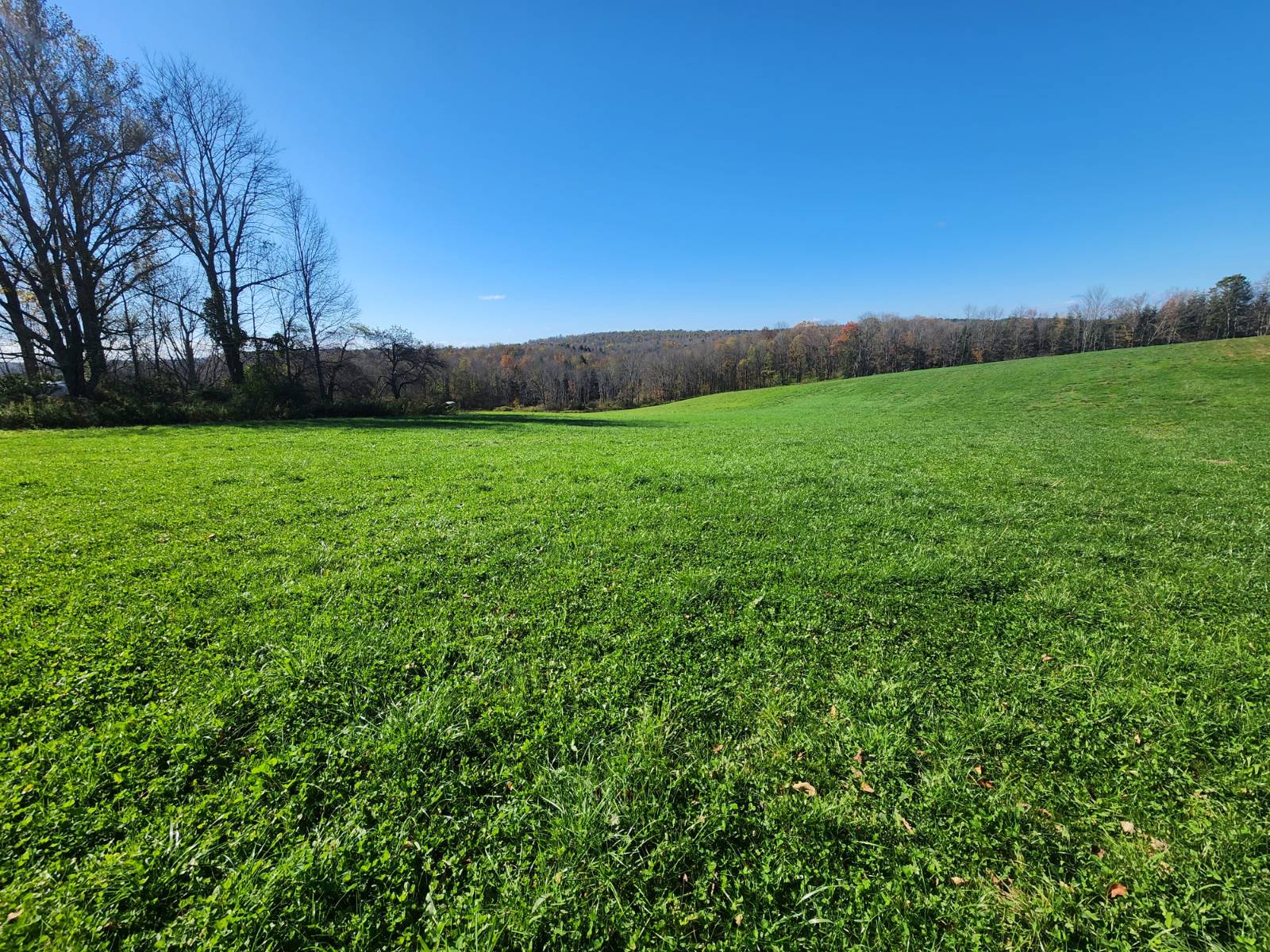 #3 photo, 0 Hoffman, Guilford , NY 13780