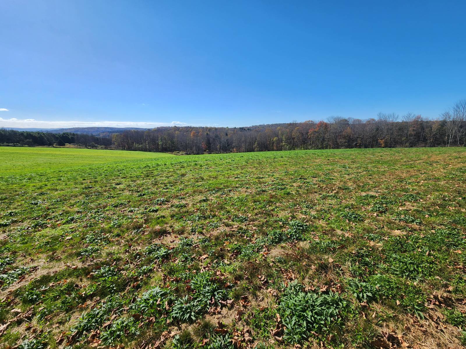 #4 photo, 0 Hoffman, Guilford , NY 13780