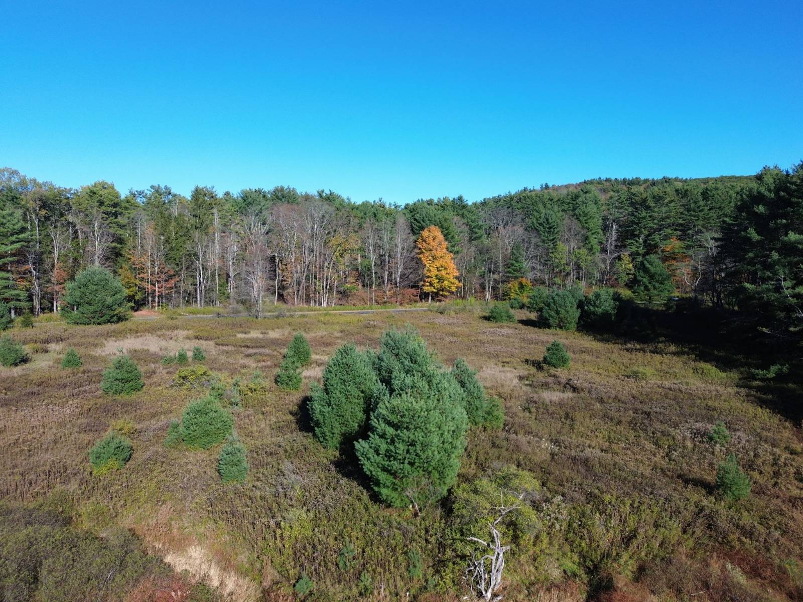 #11 photo, L7.26 High Bridge Rd, Mount Upton , NY 13809