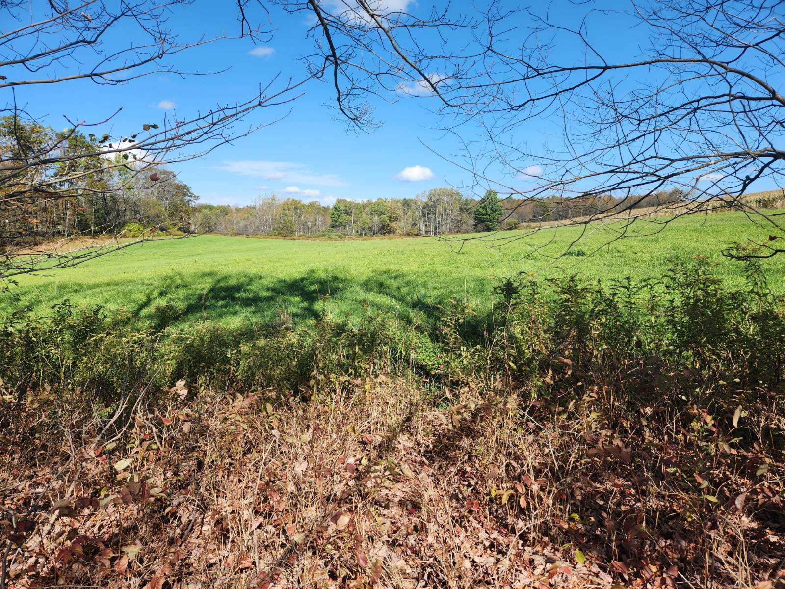 #11 photo, 00 Hoffman Road, Guilford , NY 13780