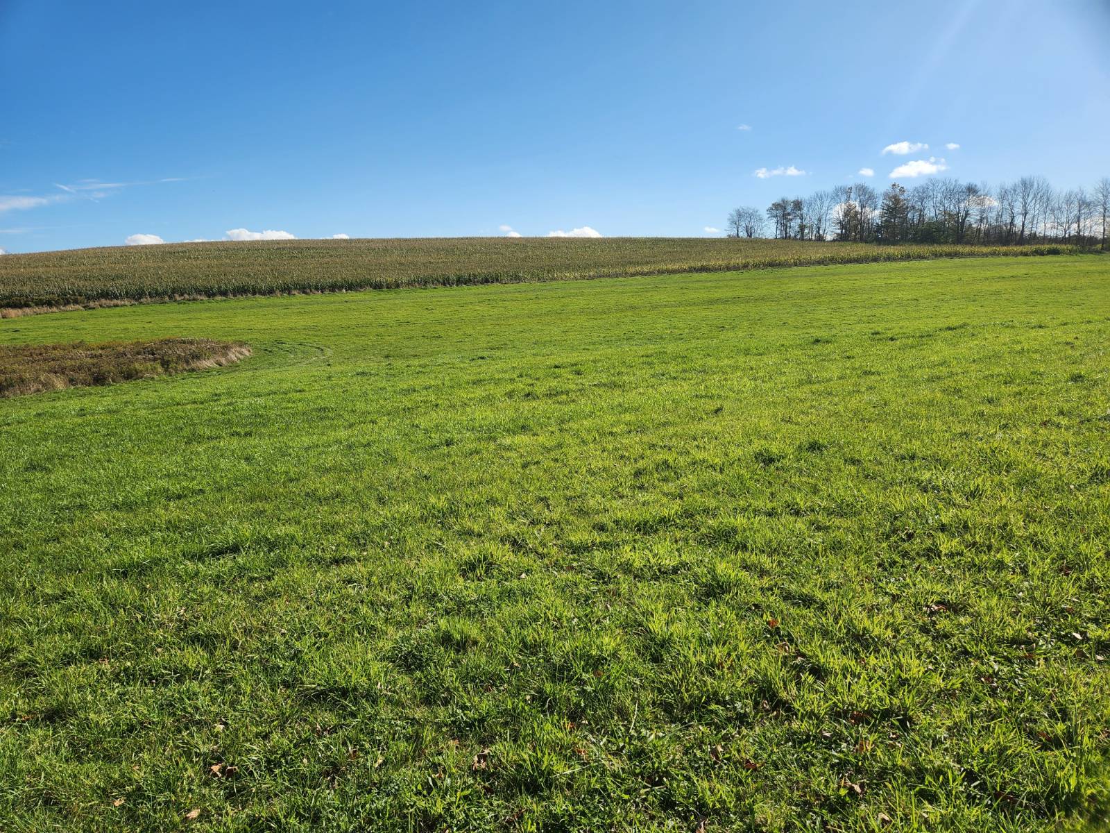 #2 photo, 00 Hoffman Road, Guilford , NY 13780