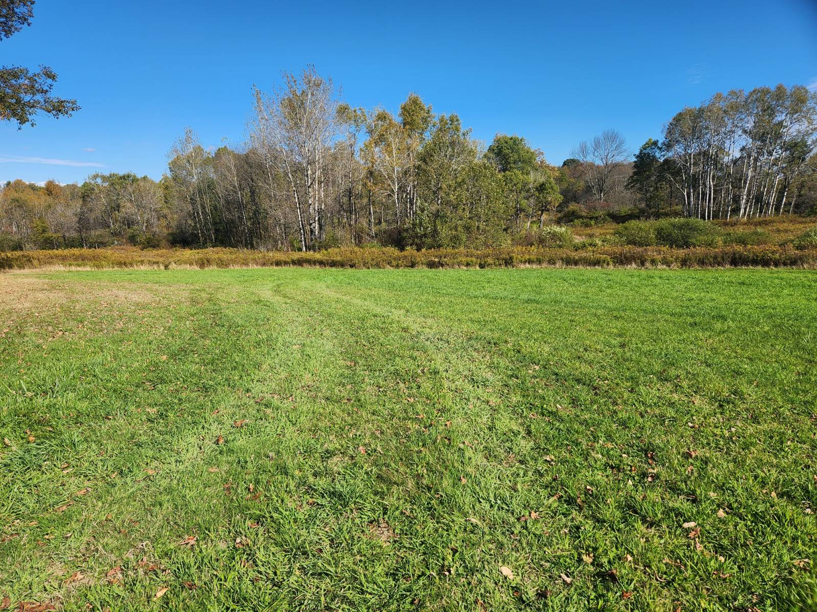 #3 photo, 00 Hoffman Road, Guilford , NY 13780