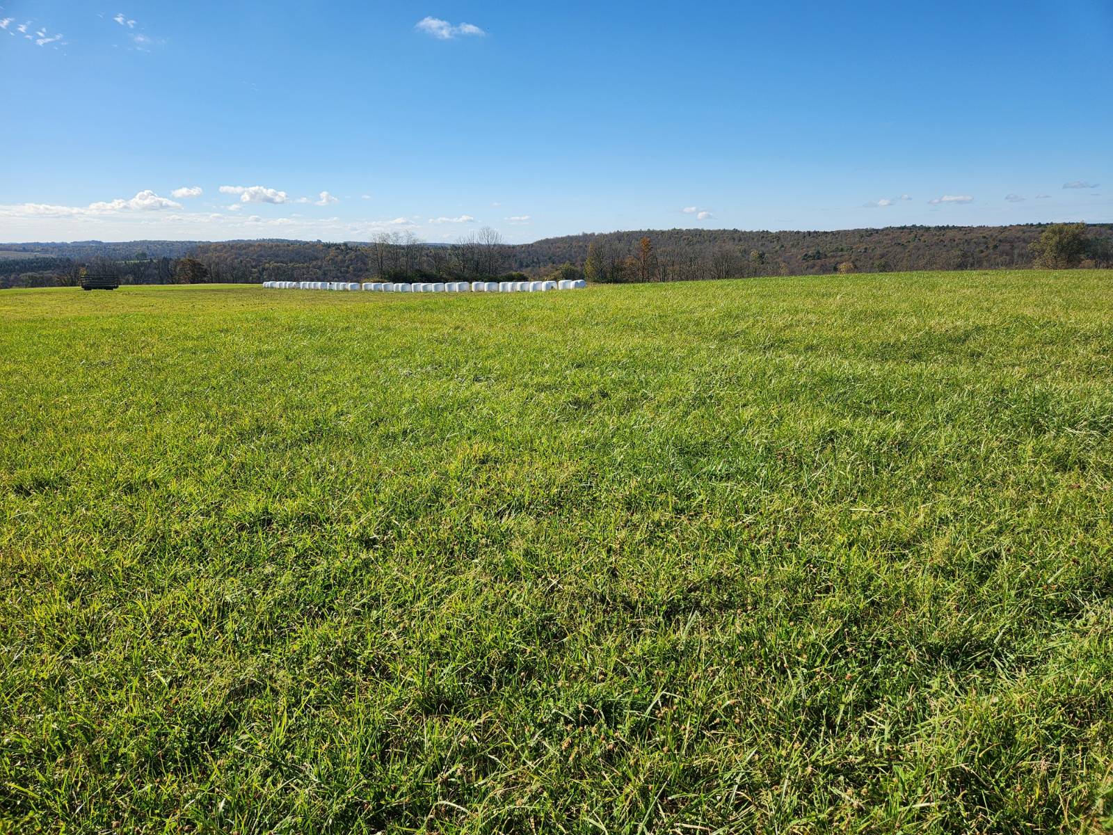 #5 photo, 00 Hoffman Road, Guilford , NY 13780