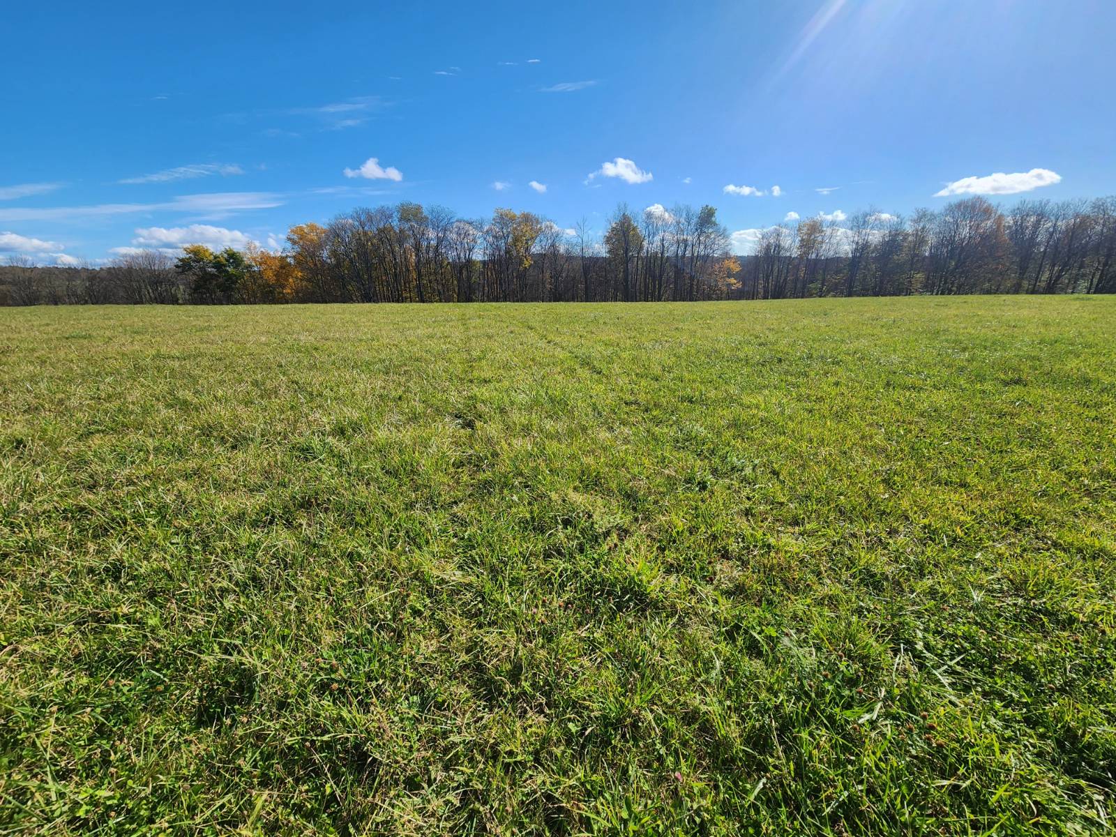 #6 photo, 00 Hoffman Road, Guilford , NY 13780