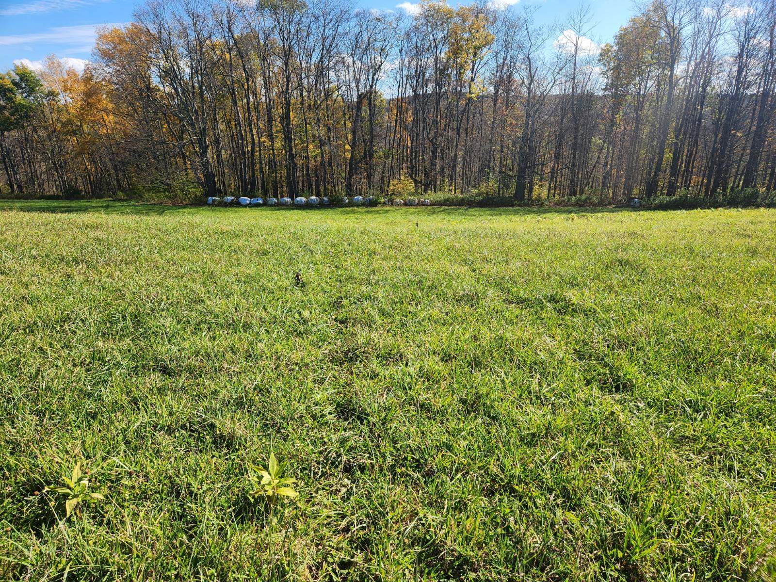 #7 photo, 00 Hoffman Road, Guilford , NY 13780