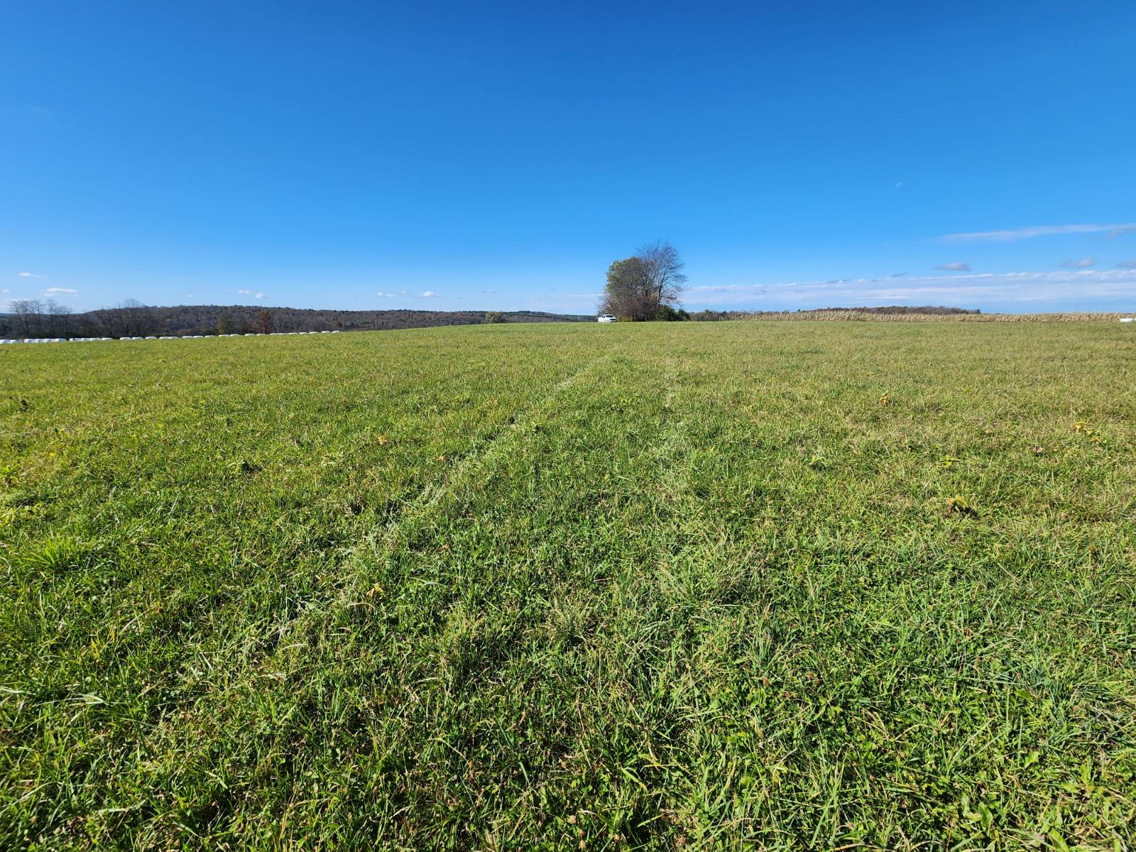 #8 photo, 00 Hoffman Road, Guilford , NY 13780