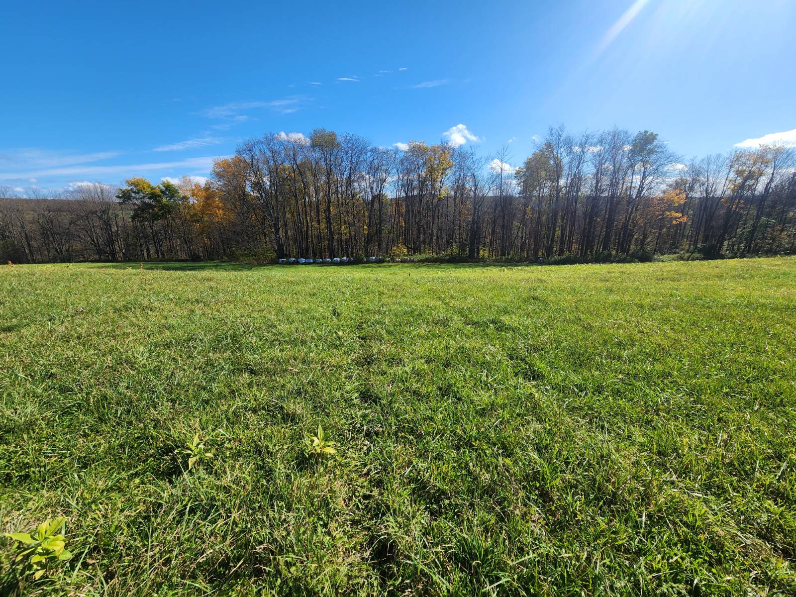 #9 photo, 00 Hoffman Road, Guilford , NY 13780