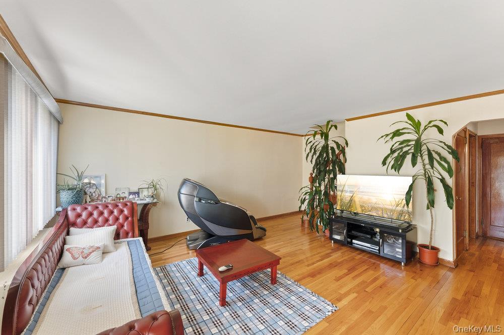 #3 photo, 543 Lakeville Road, ナッソー郡 New Hyde Park , NY 11040