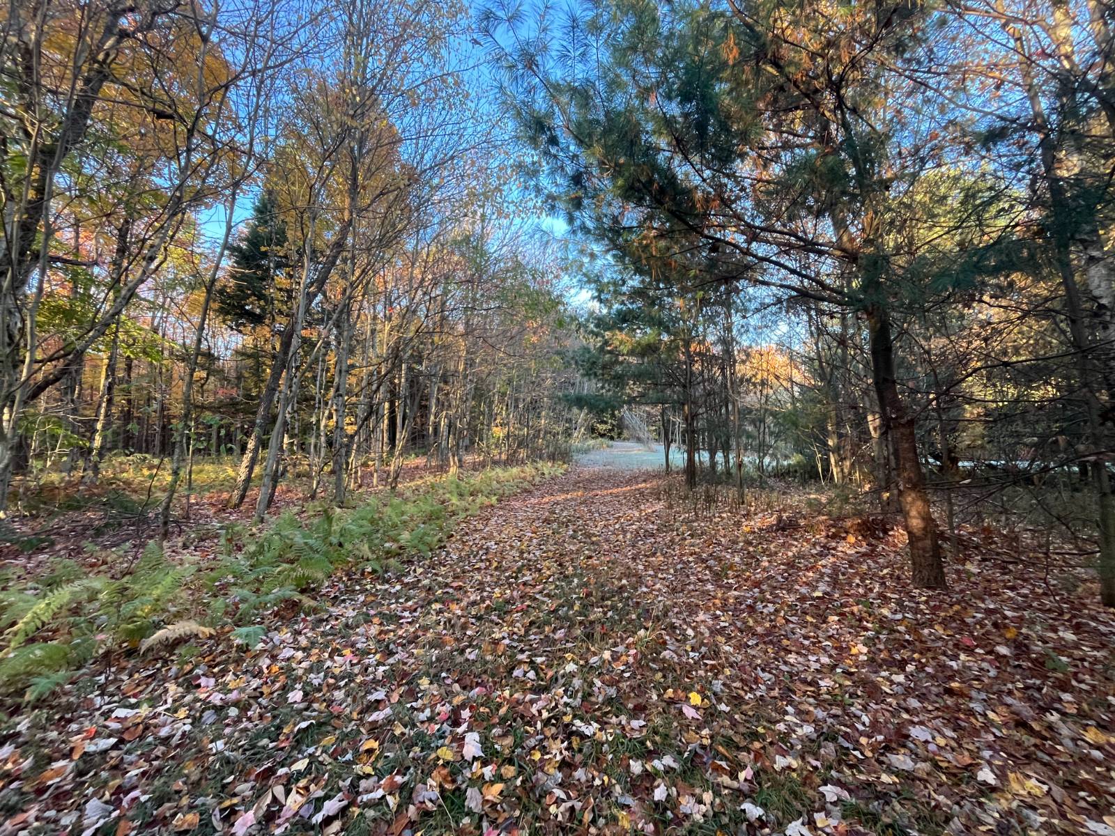 #10 photo, 00 State Highway 812, #6, Harrisville , NY 13648