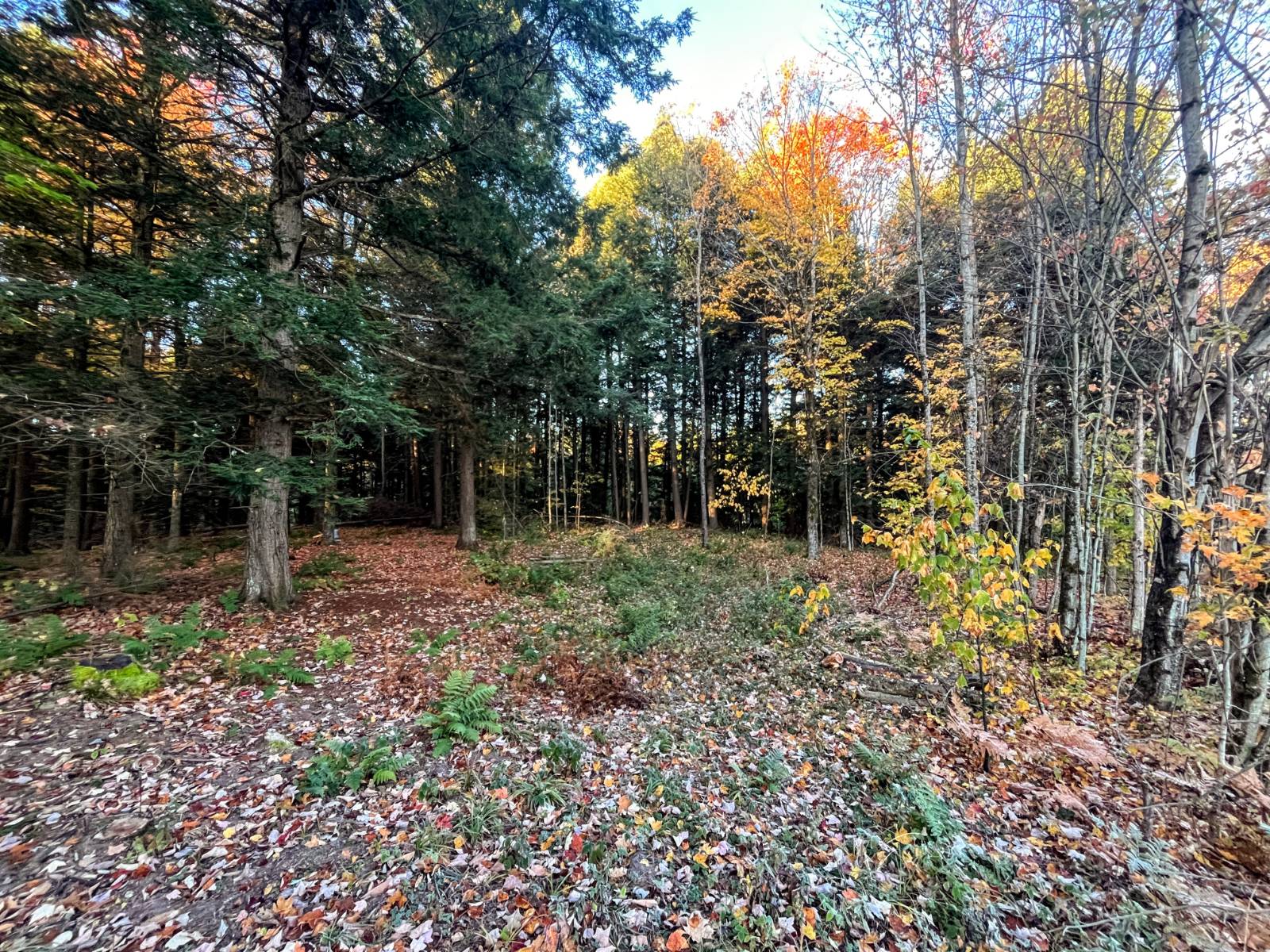 #11 photo, 00 State Highway 812, #6, Harrisville , NY 13648