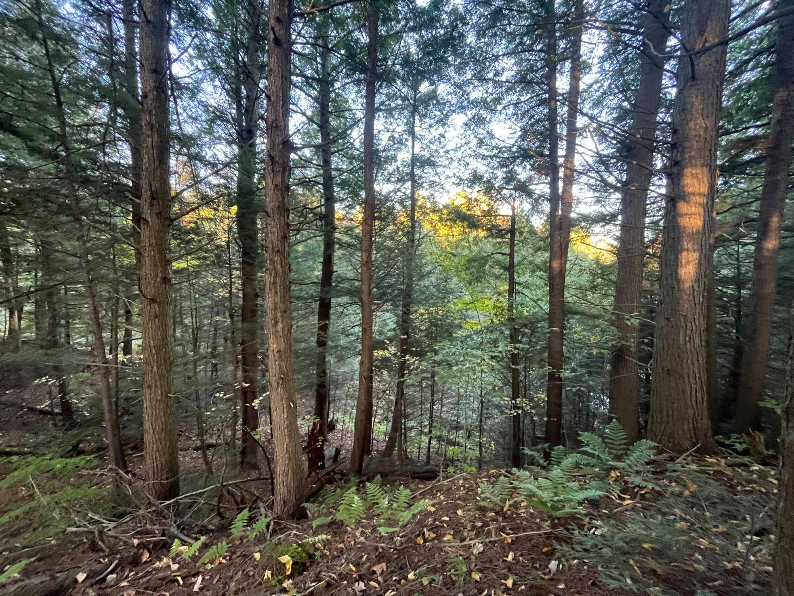 #12 photo, 00 State Highway 812, #6, Harrisville , NY 13648