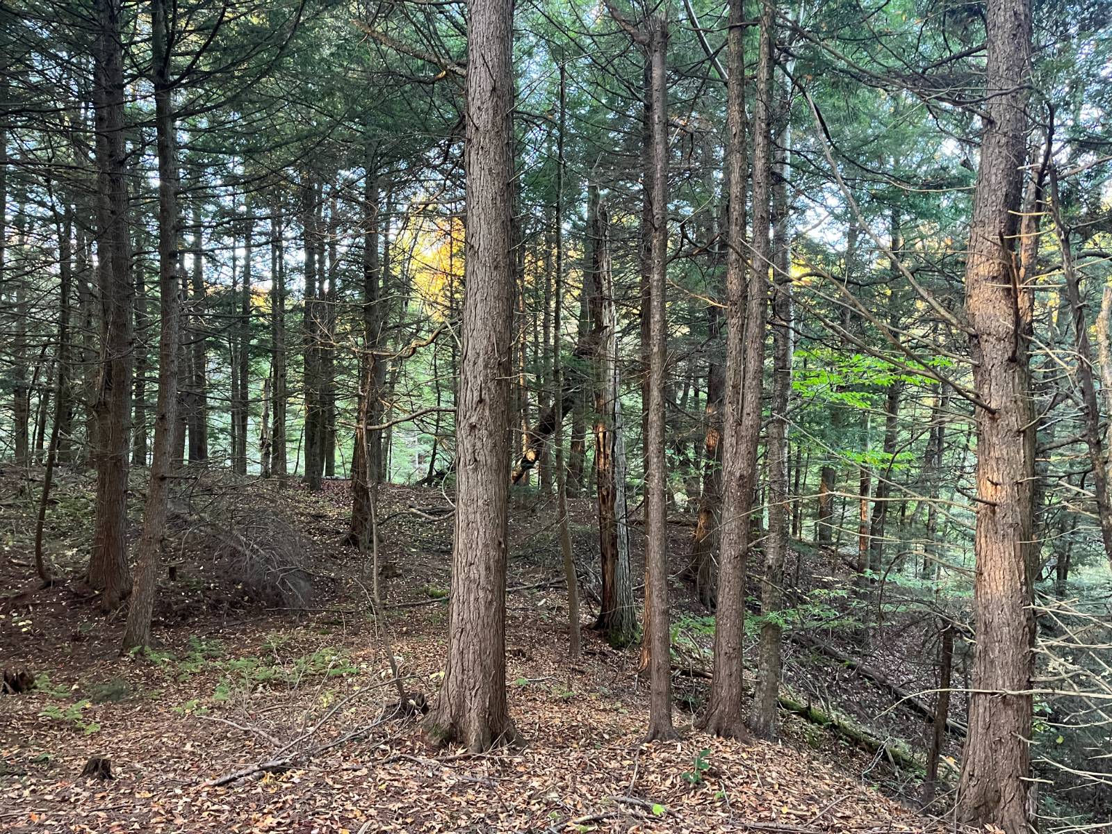 #13 photo, 00 State Highway 812, #6, Harrisville , NY 13648