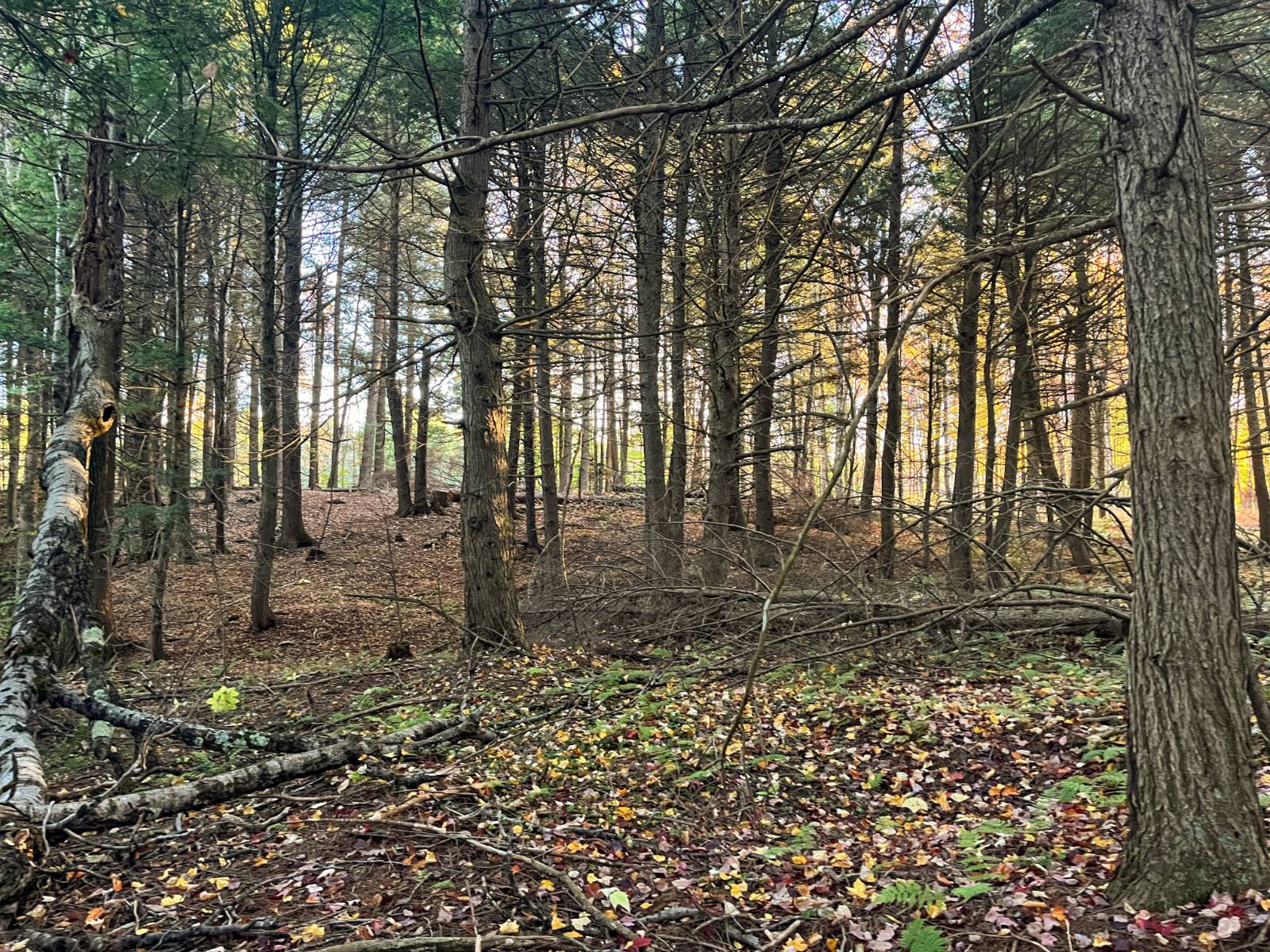 #15 photo, 00 State Highway 812, #6, Harrisville , NY 13648