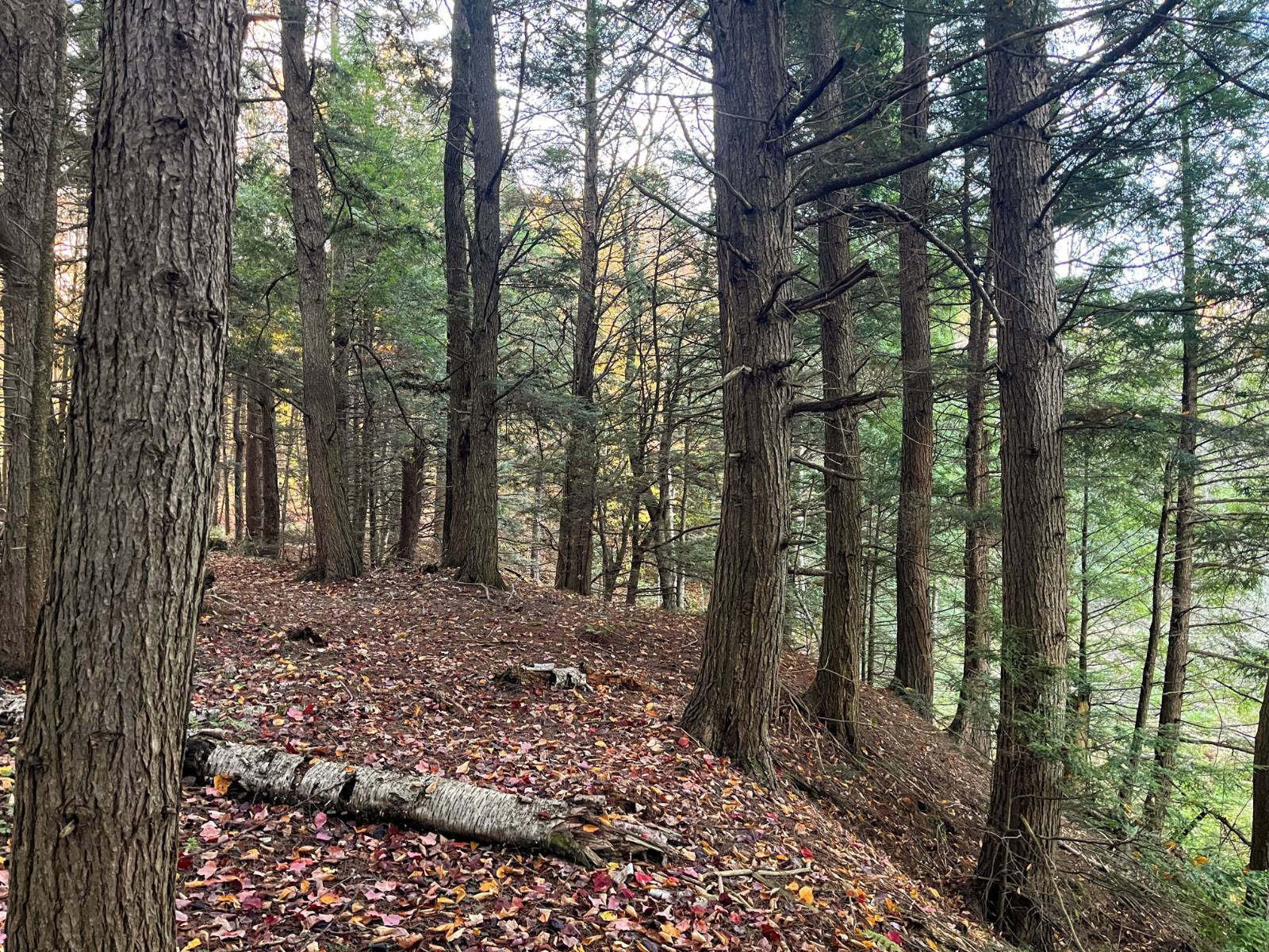 #16 photo, 00 State Highway 812, #6, Harrisville , NY 13648