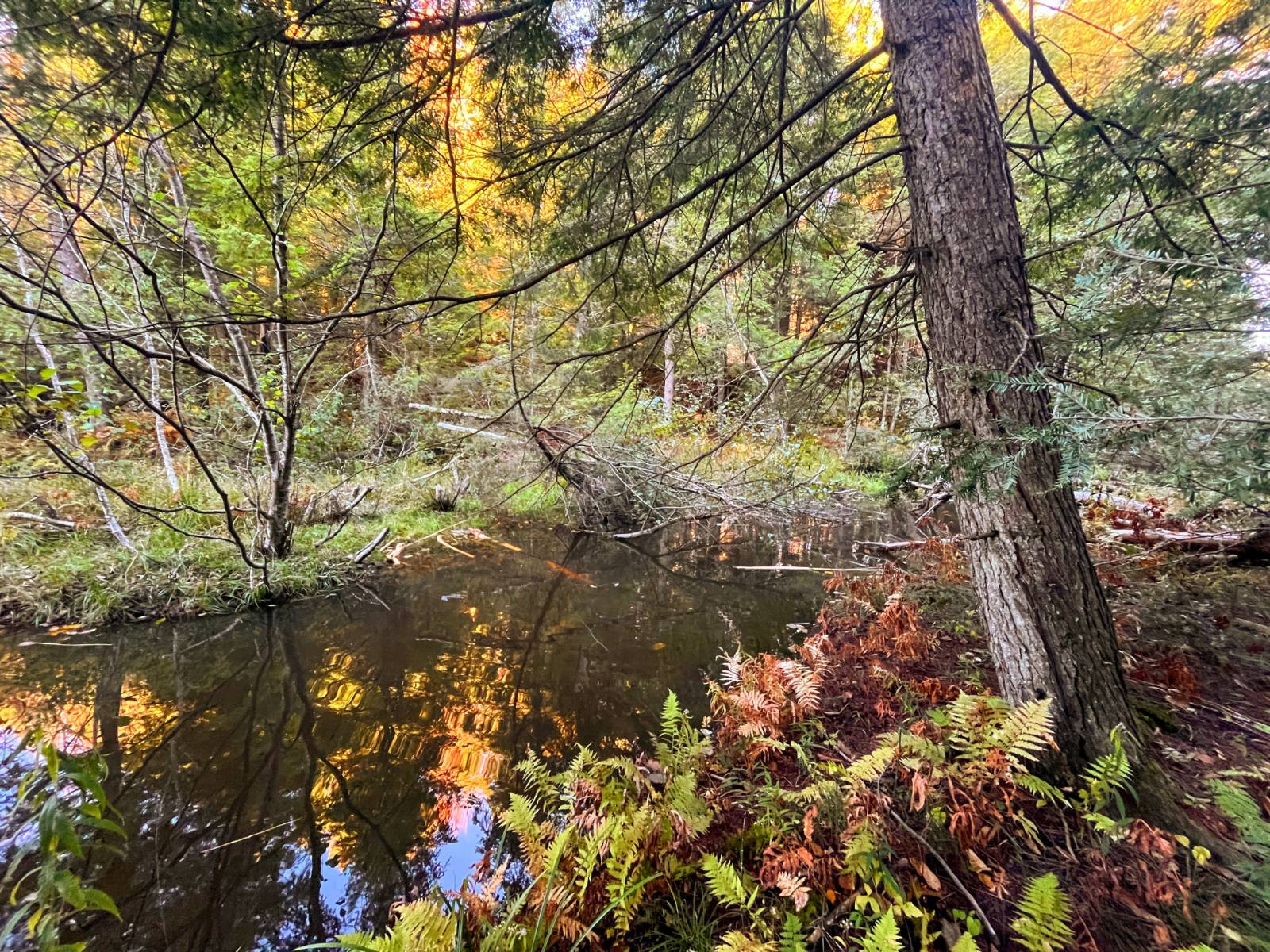 #17 photo, 00 State Highway 812, #6, Harrisville , NY 13648