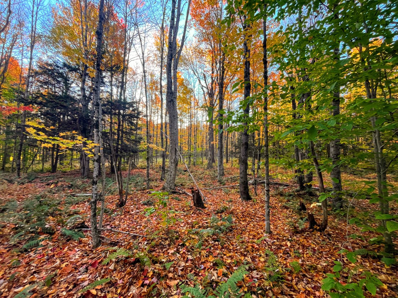 #18 photo, 00 State Highway 812, #6, Harrisville , NY 13648