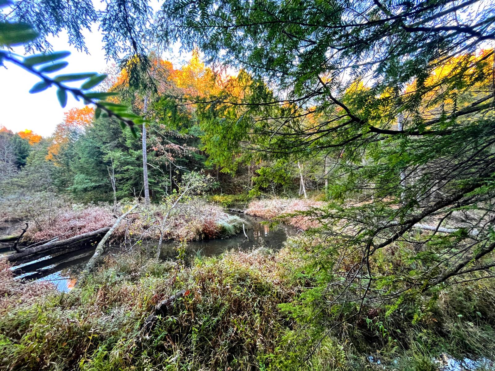 #2 photo, 00 State Highway 812, #6, Harrisville , NY 13648