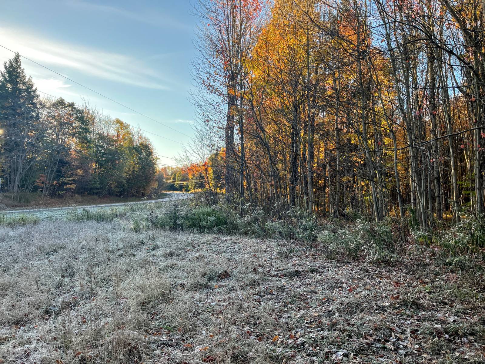 #22 photo, 00 State Highway 812, #6, Harrisville , NY 13648