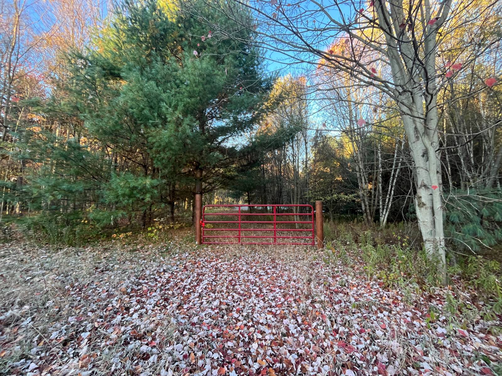 #24 photo, 00 State Highway 812, #6, Harrisville , NY 13648