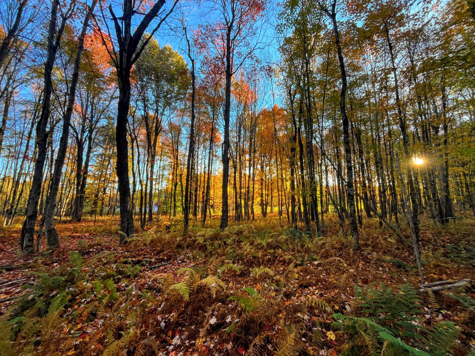 #6 photo, 00 State Highway 812, #6, Harrisville , NY 13648