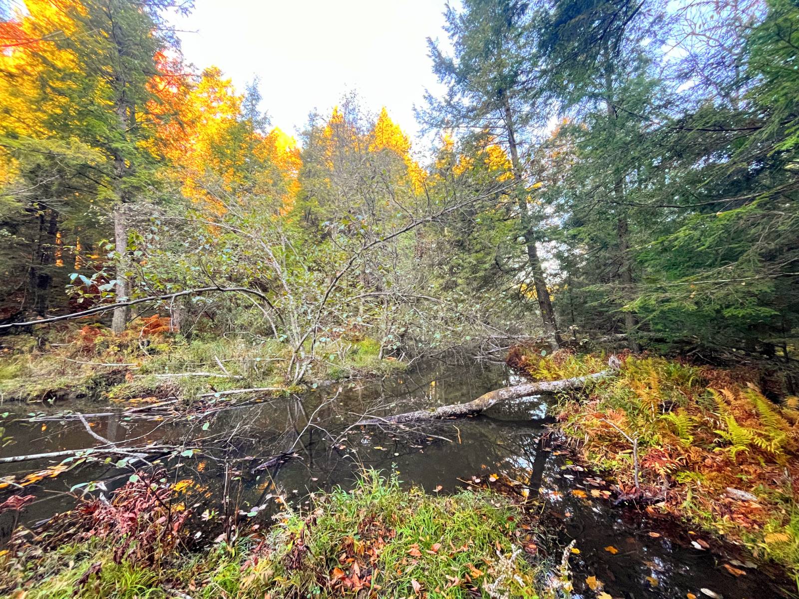 #8 photo, 00 State Highway 812, #6, Harrisville , NY 13648