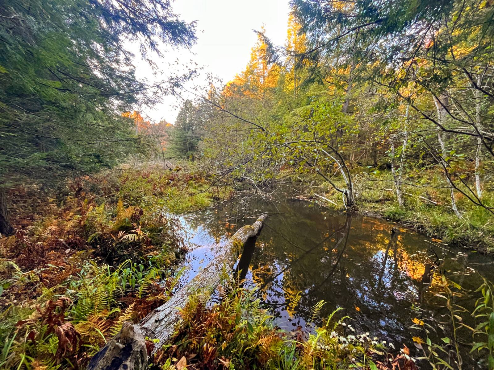 #9 photo, 00 State Highway 812, #6, Harrisville , NY 13648