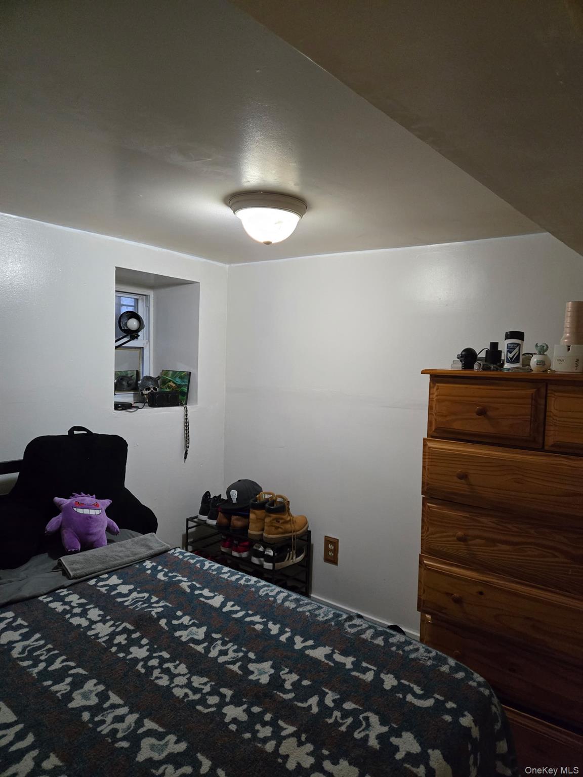 #12 photo, 278 Ashford Street, ブルックリン区 Brooklyn , NY 11207