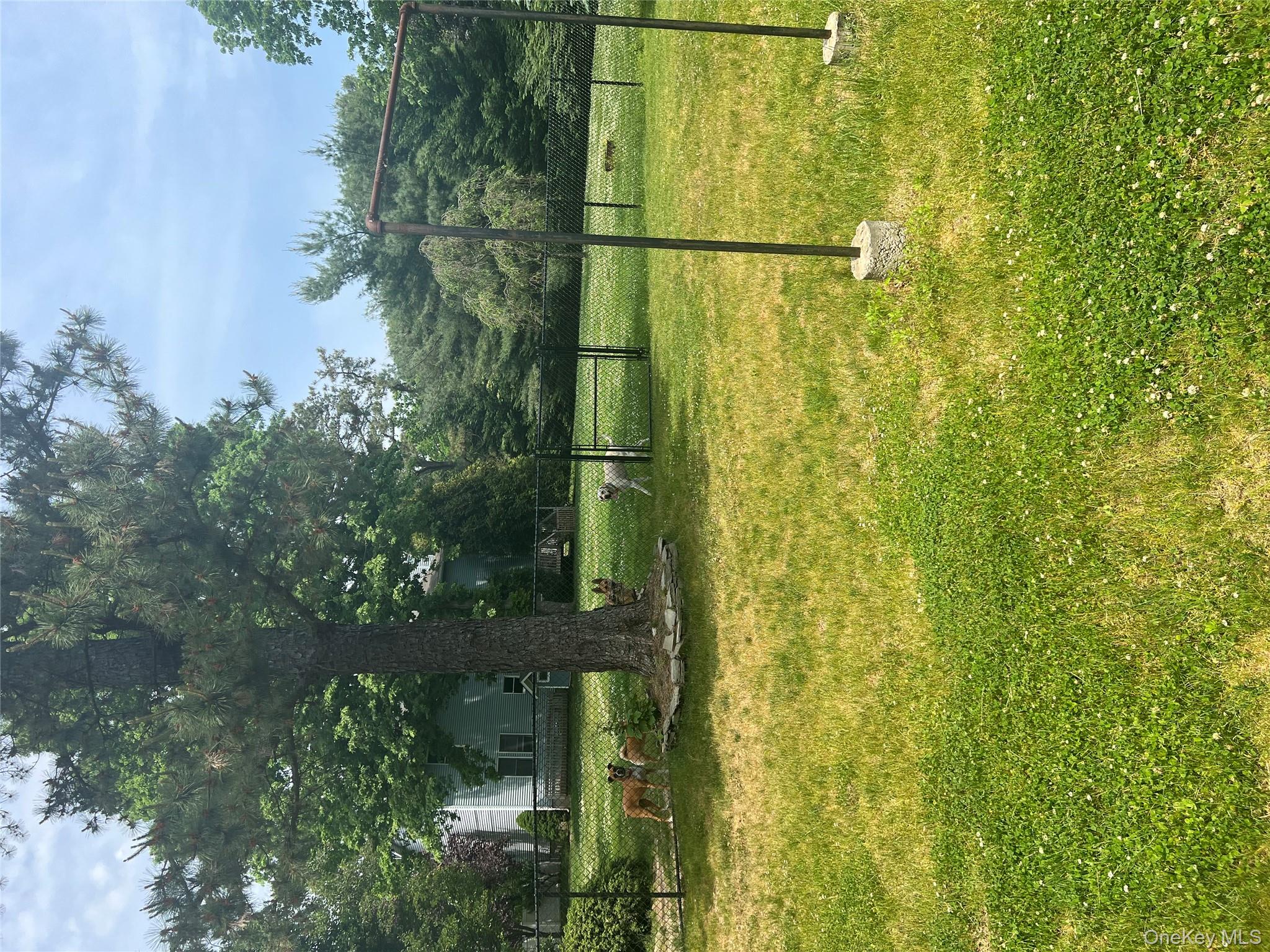 #16 photo, 10 Jonah Road, サフォーク郡 Miller Place , NY 11764