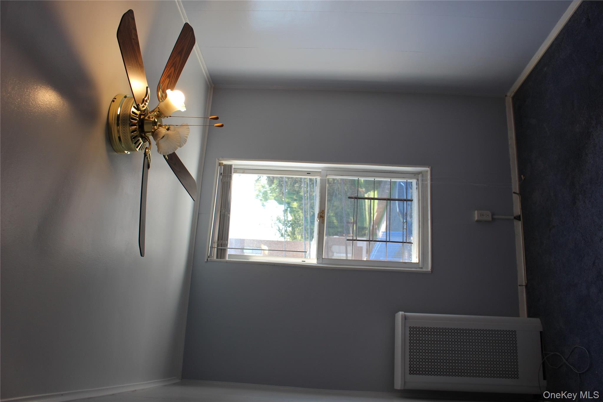 #20 photo, 2973 Harding Avenue, ブロンクス区 Bronx , NY 10465