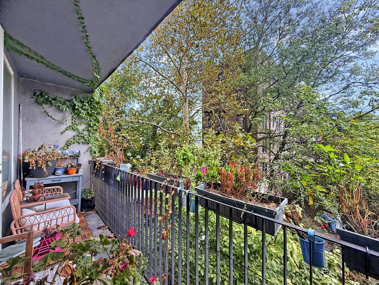 #17 photo, 515 5TH Avenue, ブルックリン区 South Slope , NY 11215