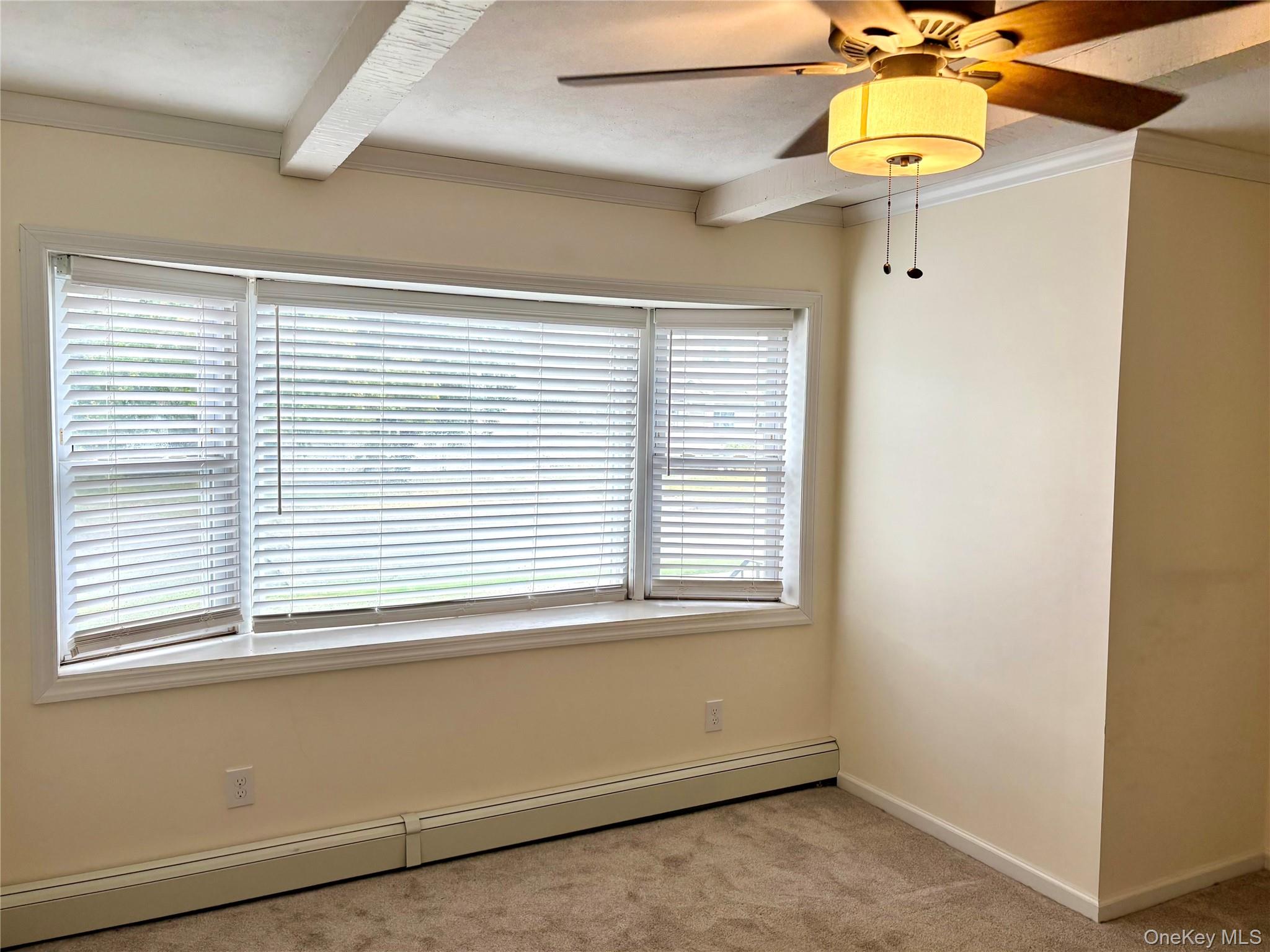 #12 photo, 146 Cottage Boulevard, ナッソー郡 Hicksville , NY 11801