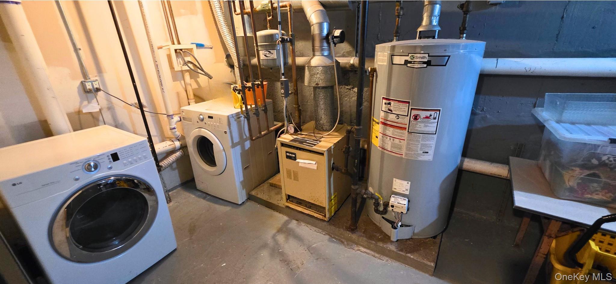 #13 photo, 1749 Sterling Place, ブルックリン区 Brooklyn , NY 11233