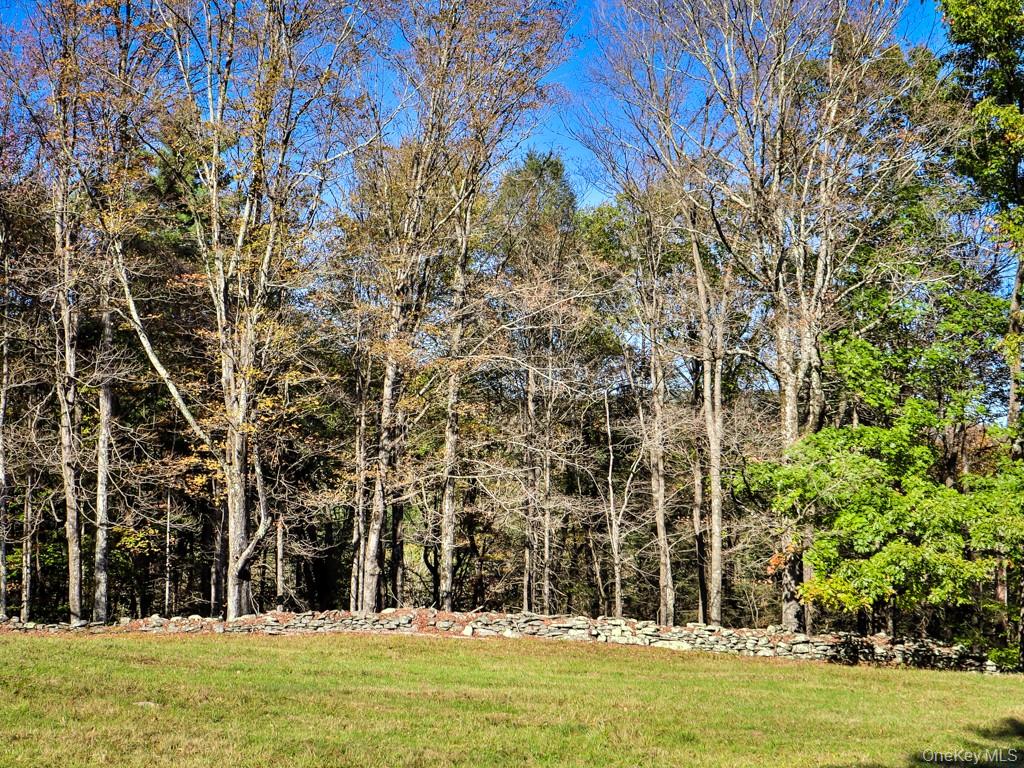 #16 photo, TBD State Route 55 and Smith Lane, Neversink , NY 12765